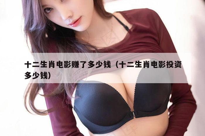 十二生肖电影赚了多少钱（十二生肖电影投资多少钱）